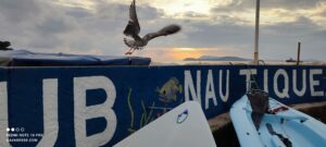 Club Nautique du Pradet Garonne avec voiles colorées et paddles sur la plage