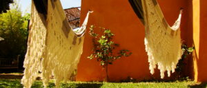 Deux hamacs jardin gîte Pradet Var