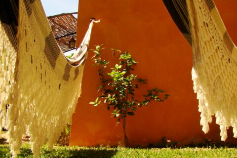 Deux hamacs jardin gîte Pradet Var