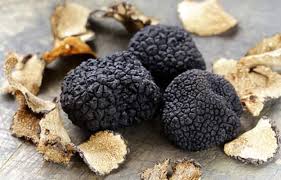 La truffe noire du haut var