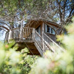 Cabane perchée dans les arbres dans le Luberon, écoresponsable