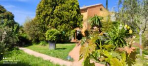 Le Mas de la Gavaresse, hébergement de charme au cœur de la nature du Pradet
