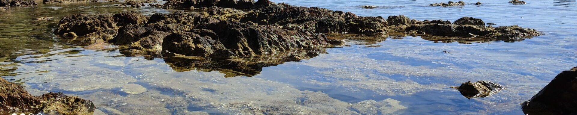 Anse Magaud Toulon Plage crique Baignade Méditerranée Proche Le Pradet Var