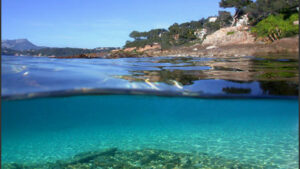 Vue sous-marine et côtière au Pradet avec eaux cristallines et fond rocheux
