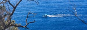 Bateau de pêche rentrant au port des Oursinières Le Pradet | Mer Méditerranée 