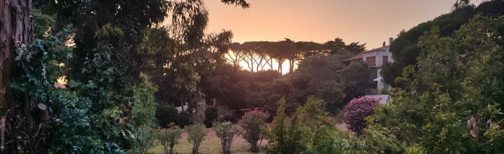 Lever de soleil sur un jardin paisible à Gavaresse, idéal pour le Yoga et la Méditation au Pradet.