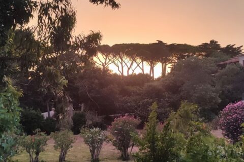 Lever de soleil sur un jardin paisible à Gavaresse, idéal pour le Yoga et la Méditation au Pradet.