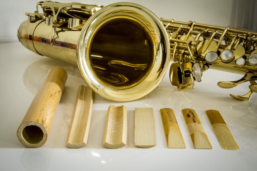 Tiges de Canne de Provence transformées en anches de saxophone, illustrant le rôle de la plante dans l'artisanat et la musique.