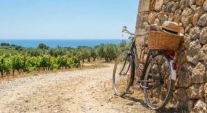 Vélo vintage avec un panier en osier contenant un chapeau de paille et un livre, appuyé contre un mur de pierres sèches sur un chemin de terre. En arrière-plan, des vignes et la mer au Pradet. Symbole de balade nature et slow tourisme.